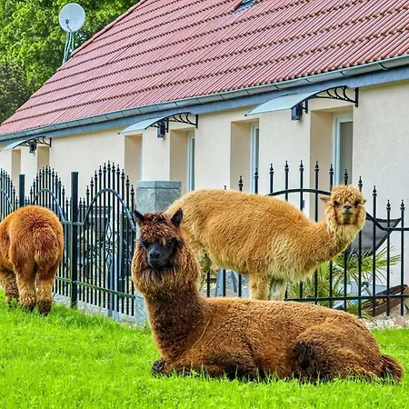 Fuer Familie * Schmatzin